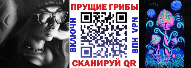 Псилоцибиновые грибы Psilocybe как найти наркотики гидра маркетплейс Пенза