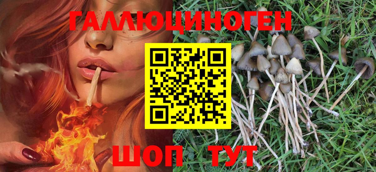 Псилоцибиновые грибы ЛСД  наркошоп  Пенза 