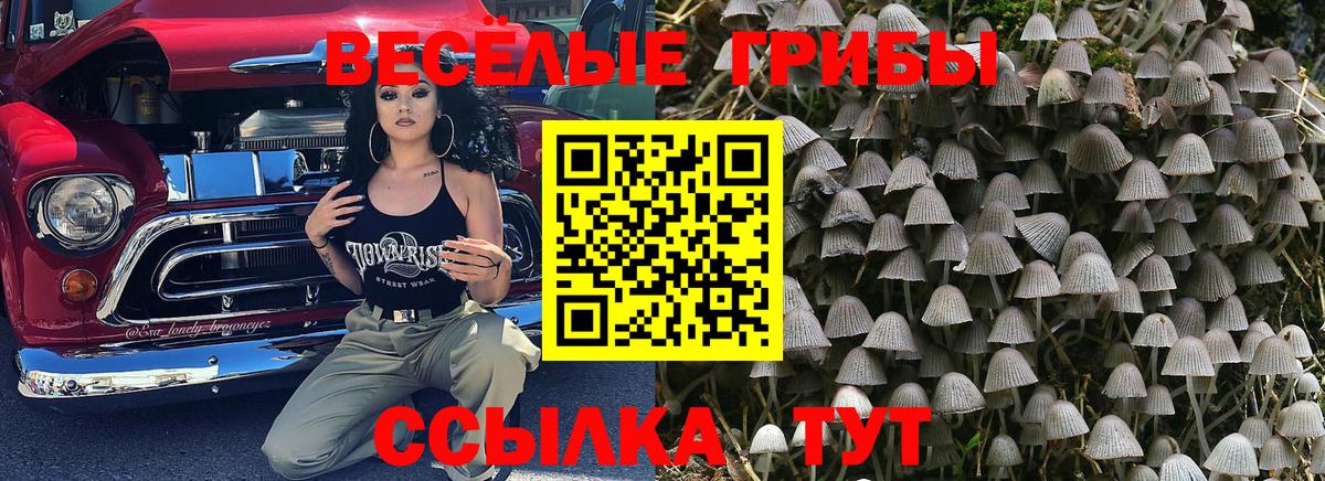 Пенза  Псилоцибиновые грибы прущие грибы  Вход с VPN 