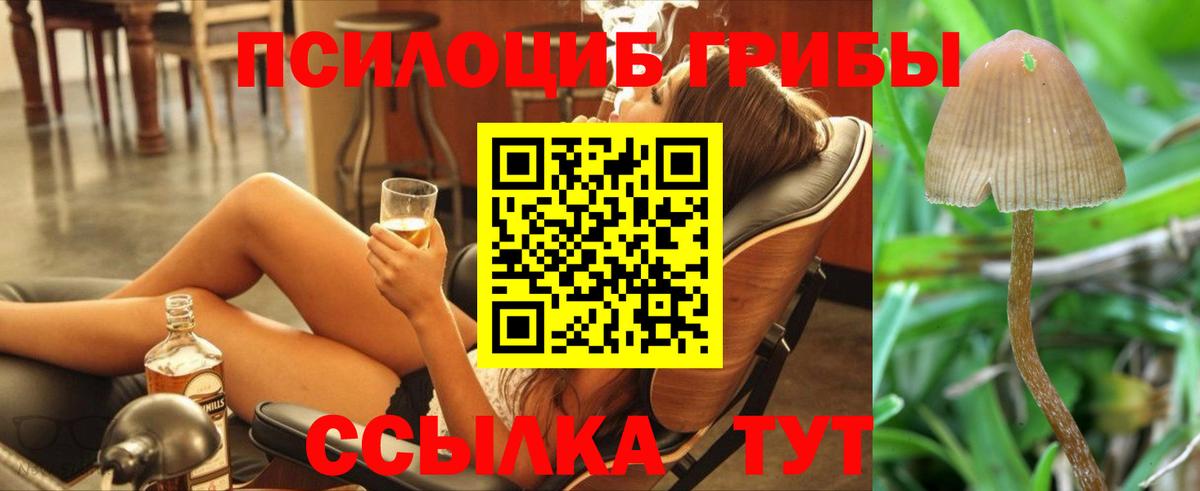 Галлюциногенные грибы прущие грибы Пенза